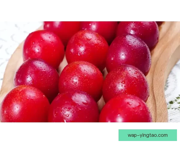 樱桃视频发布页：点亮你的创意，点燃你的精彩